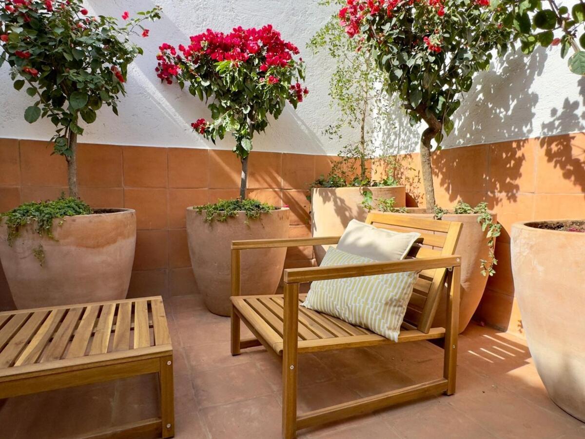 New Beautiful Loft - Qs Bed - Airconditioner * Mexico City